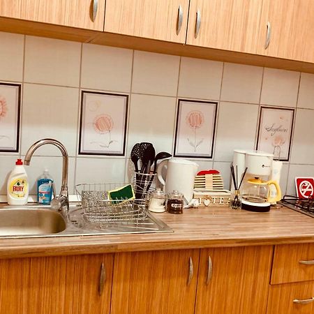 Ultracentral Apartment With All You Need: Wifi, Tv, Ac, Washer, Coffe Timişoara Exteriör bild