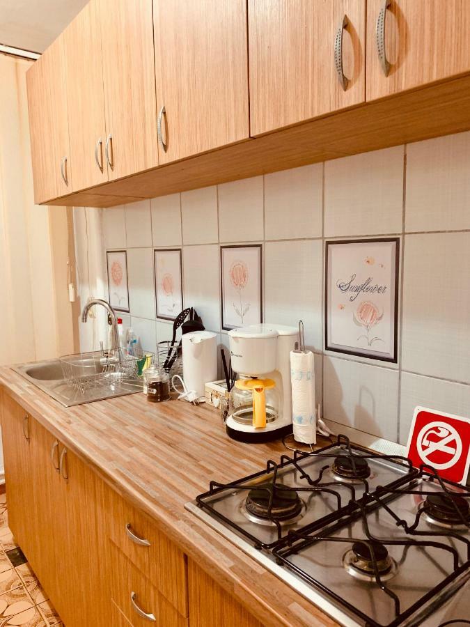 Ultracentral Apartment With All You Need: Wifi, Tv, Ac, Washer, Coffe Timişoara Exteriör bild