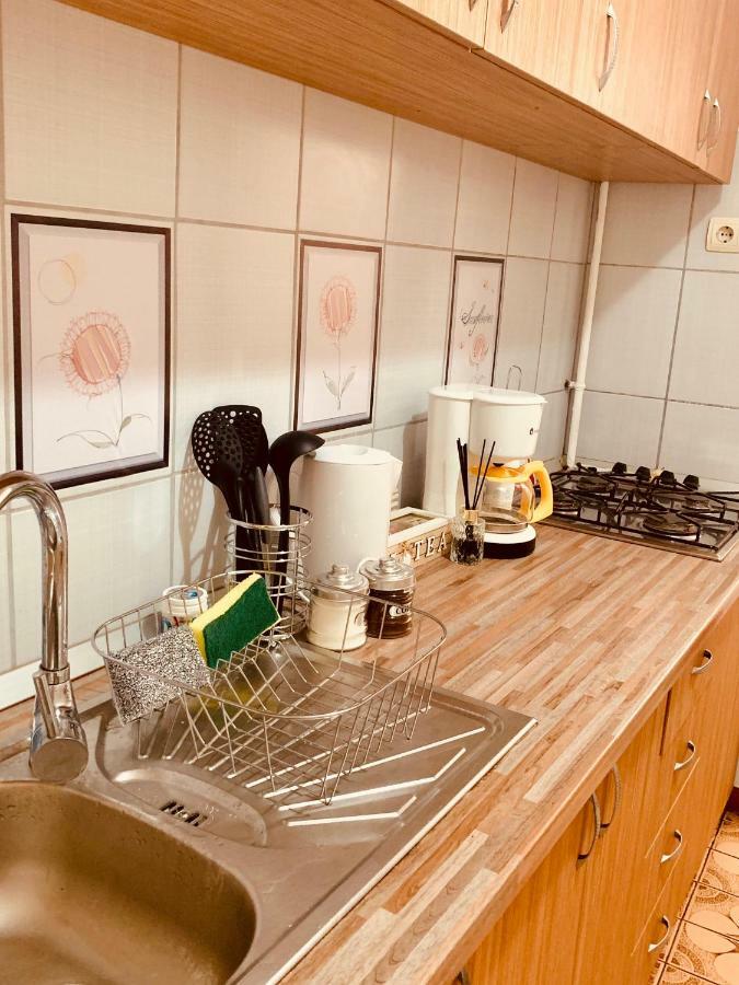 Ultracentral Apartment With All You Need: Wifi, Tv, Ac, Washer, Coffe Timişoara Exteriör bild