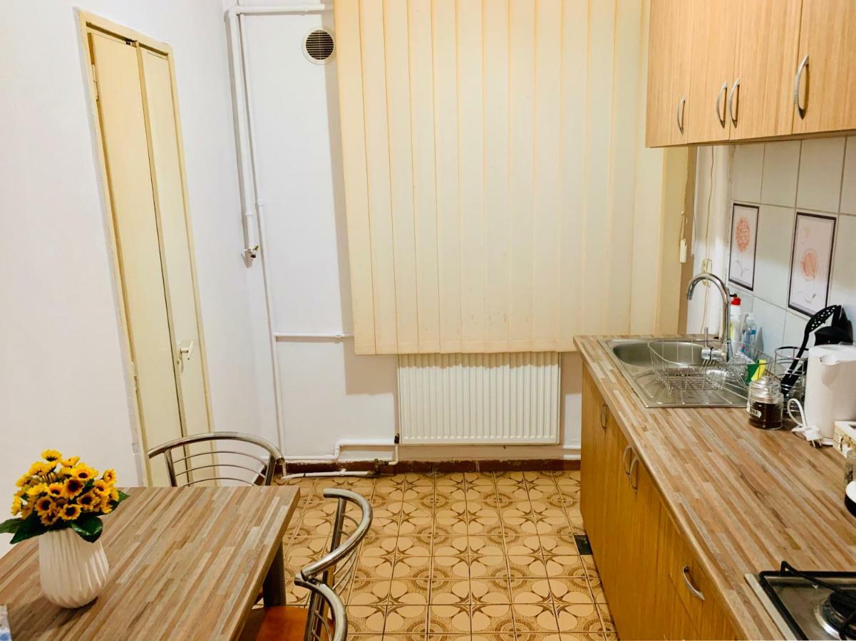 Ultracentral Apartment With All You Need: Wifi, Tv, Ac, Washer, Coffe Timişoara Exteriör bild