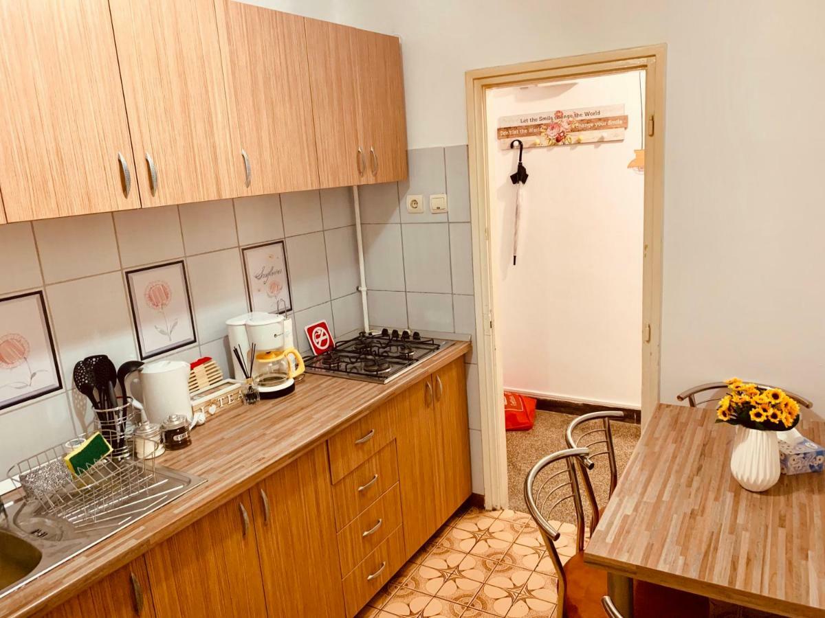 Ultracentral Apartment With All You Need: Wifi, Tv, Ac, Washer, Coffe Timişoara Exteriör bild